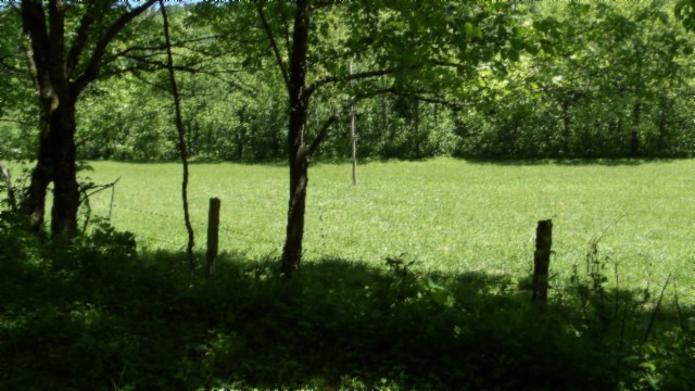 5155 Brimstone Creek Rd Property Photo 65