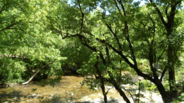 5155 Brimstone Creek Rd Property Photo 67