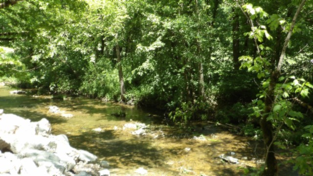 5155 Brimstone Creek Rd Property Photo 68