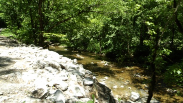 5155 Brimstone Creek Rd Property Photo 69