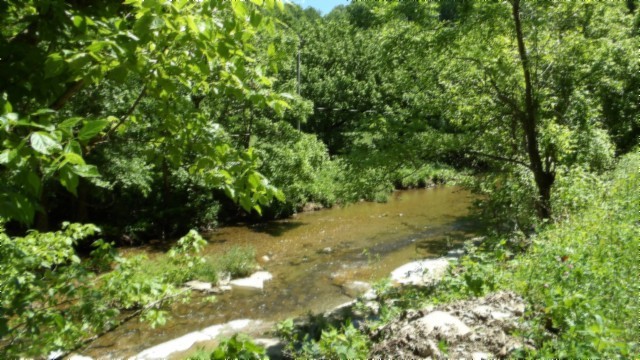 5155 Brimstone Creek Rd Property Photo 70