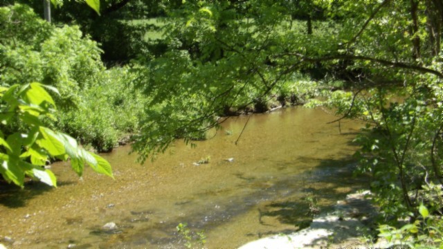 5155 Brimstone Creek Rd Property Photo 71