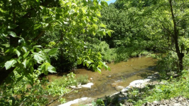 5155 Brimstone Creek Rd Property Photo 72