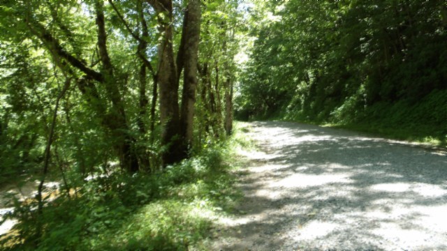5155 Brimstone Creek Rd Property Photo 74