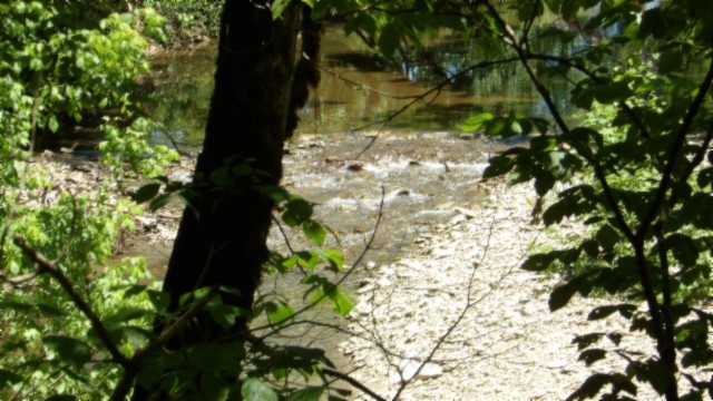 5155 Brimstone Creek Rd Property Photo 75