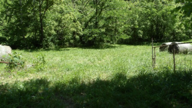 5155 Brimstone Creek Rd Property Photo 79