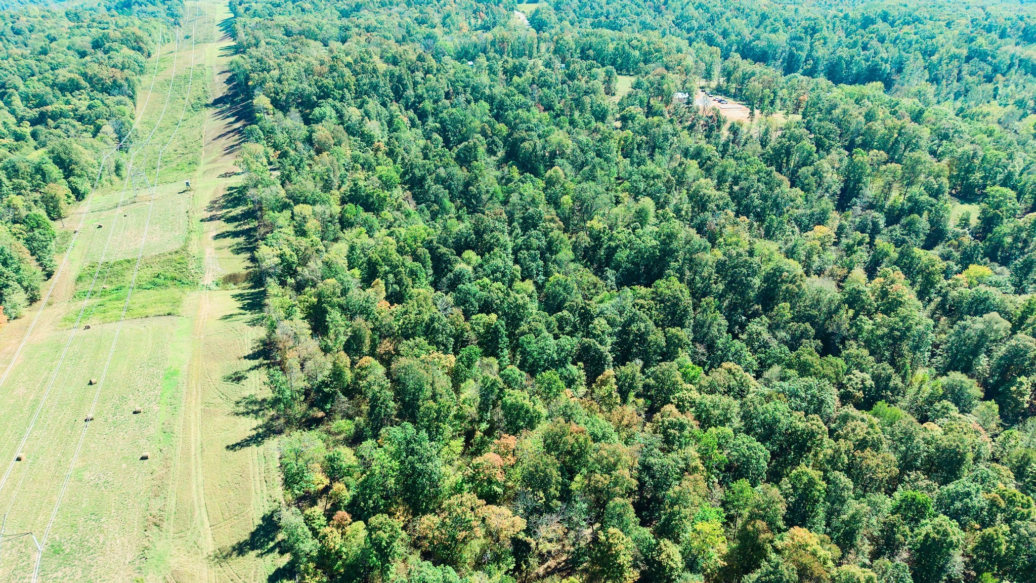 0 Norris Hollow Rd Property Photo 6