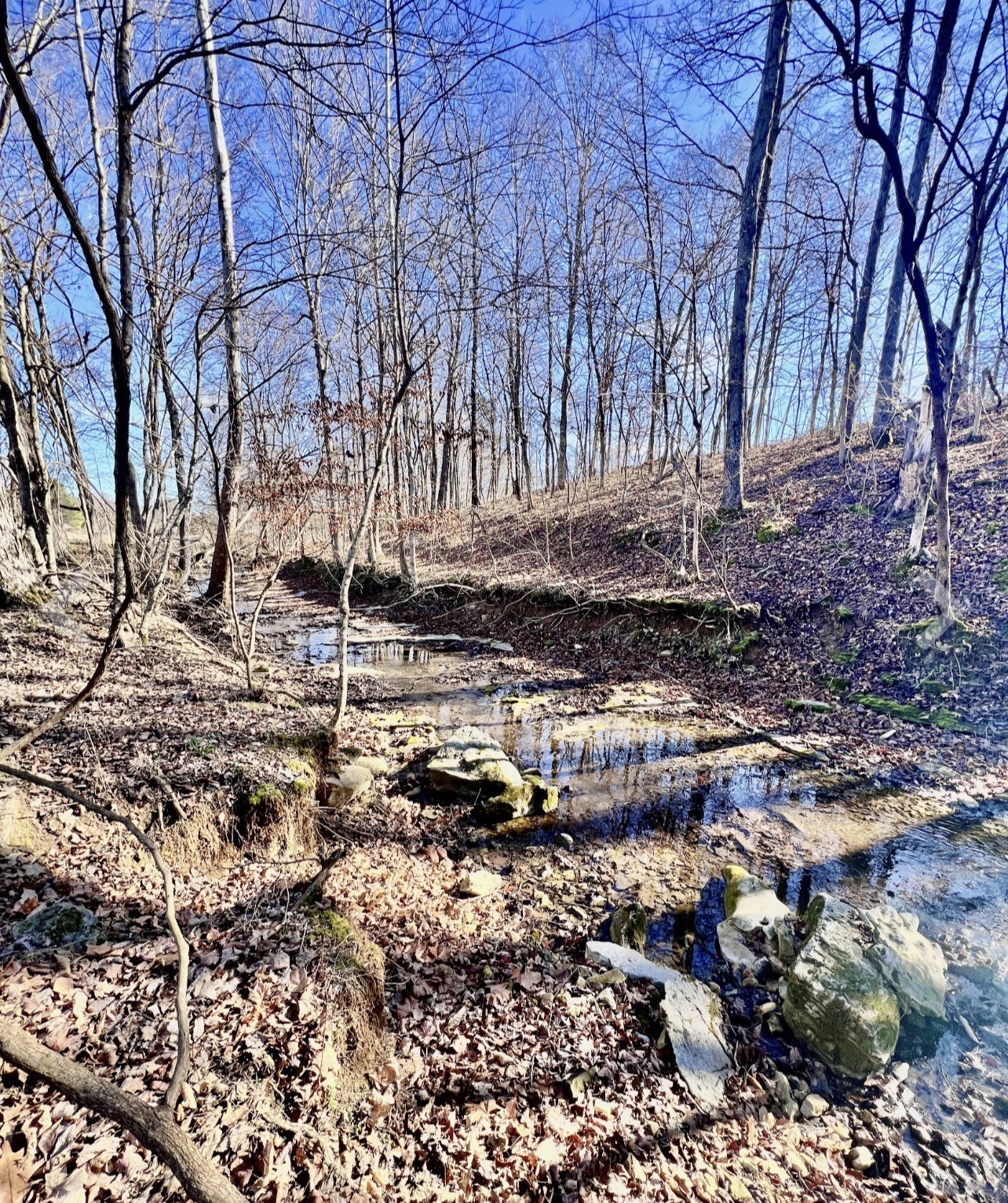 1140 Indian Creek Rd Property Photo 38