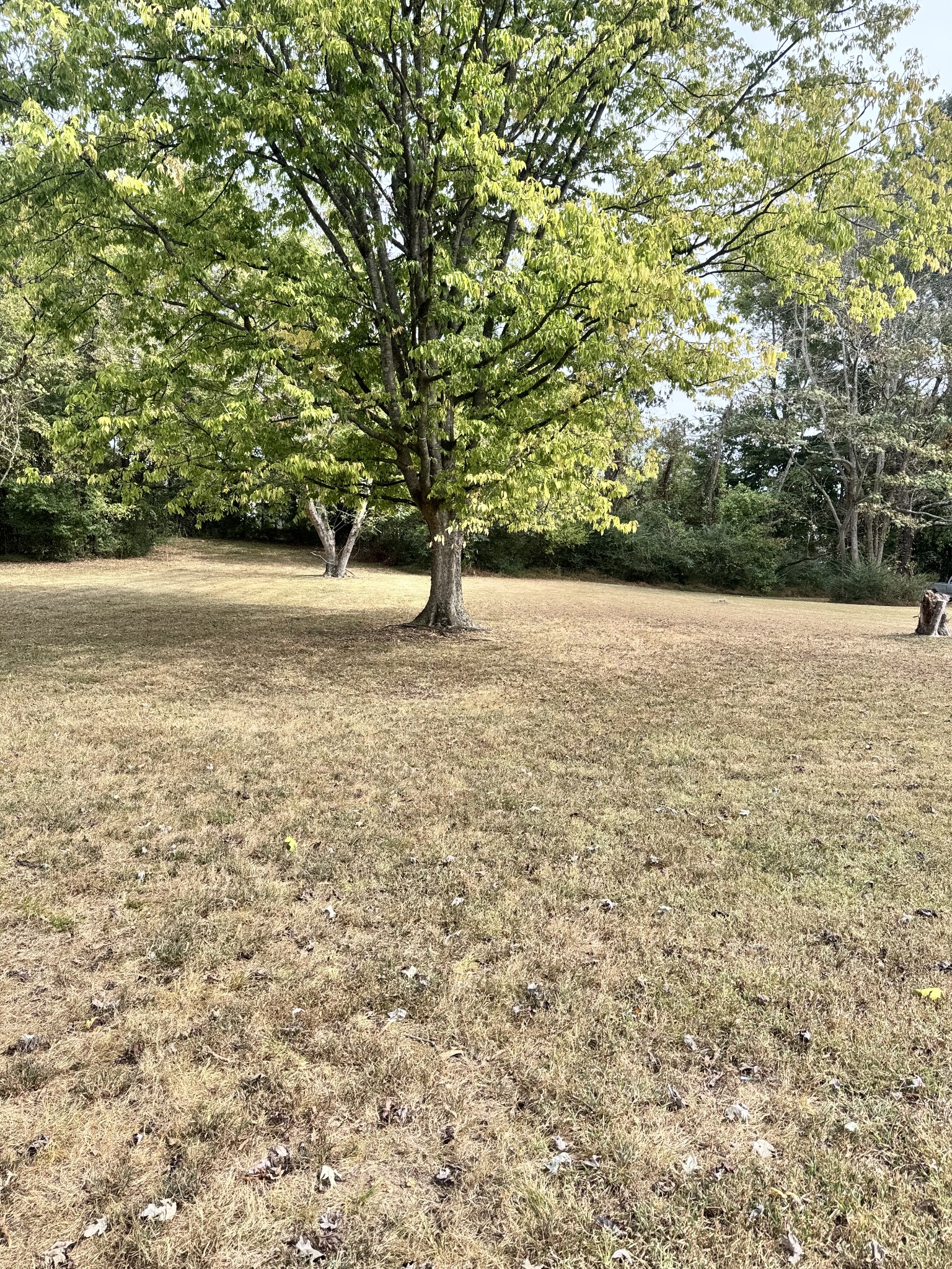 624 Crestland Dr Property Photo 38