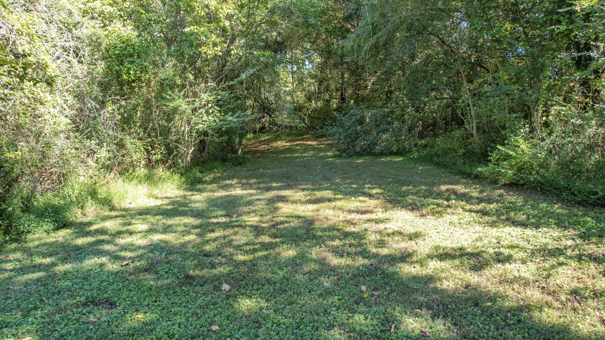 210 Anatole Ln, Nw Property Photo 8