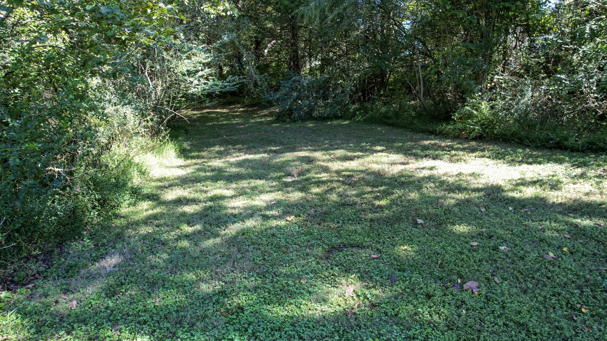 210 Anatole Ln, Nw Property Photo 56