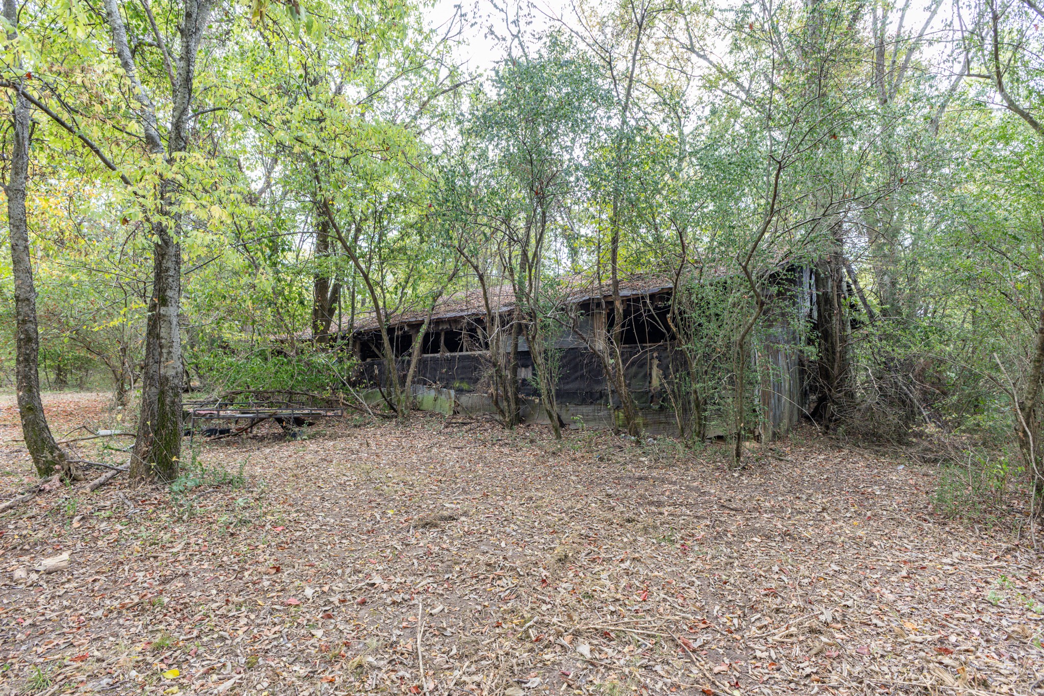 4343 Old Hartsville Pike Property Photo 77