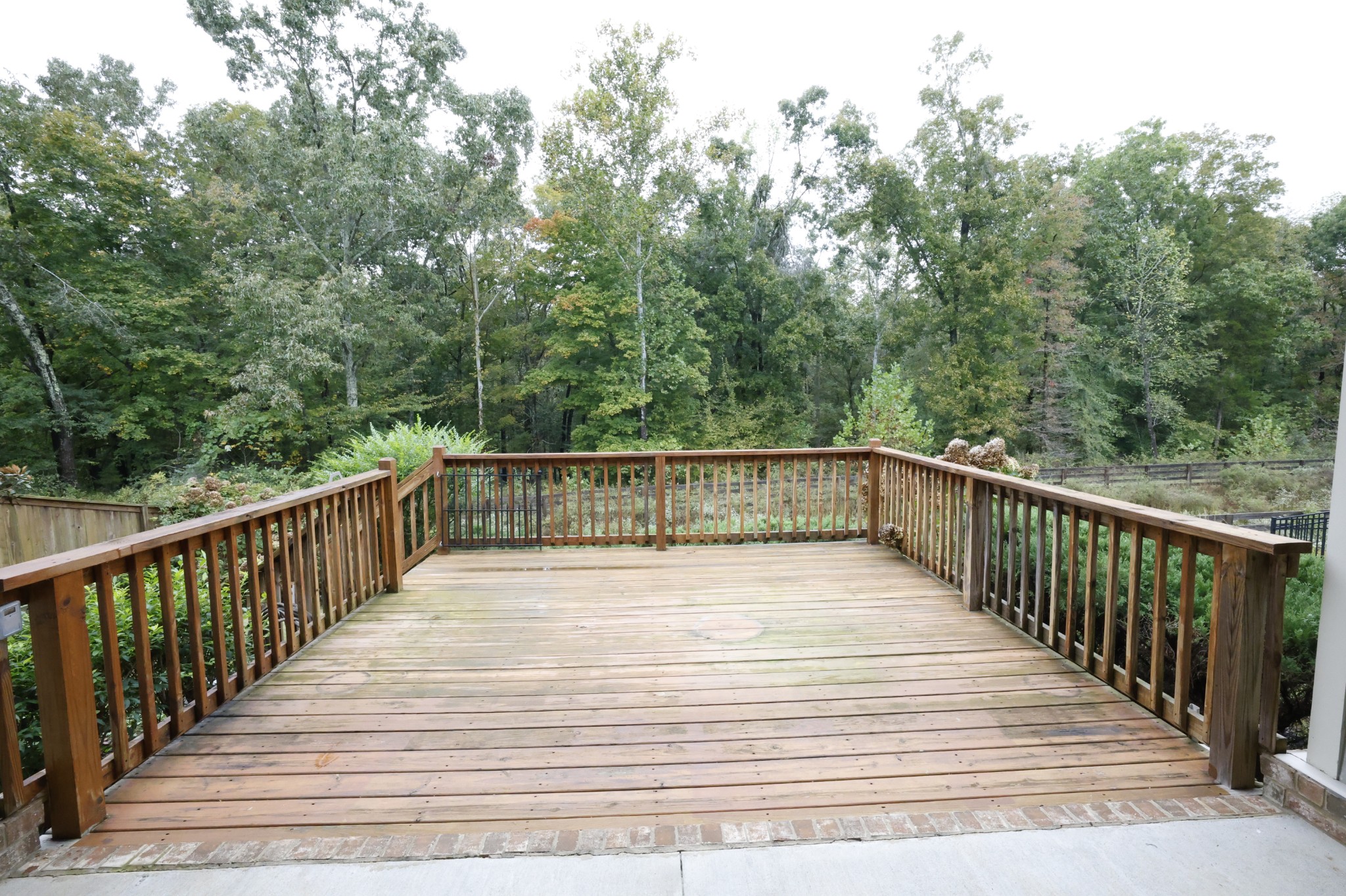 1024 Brayden Dr Property Photo 6