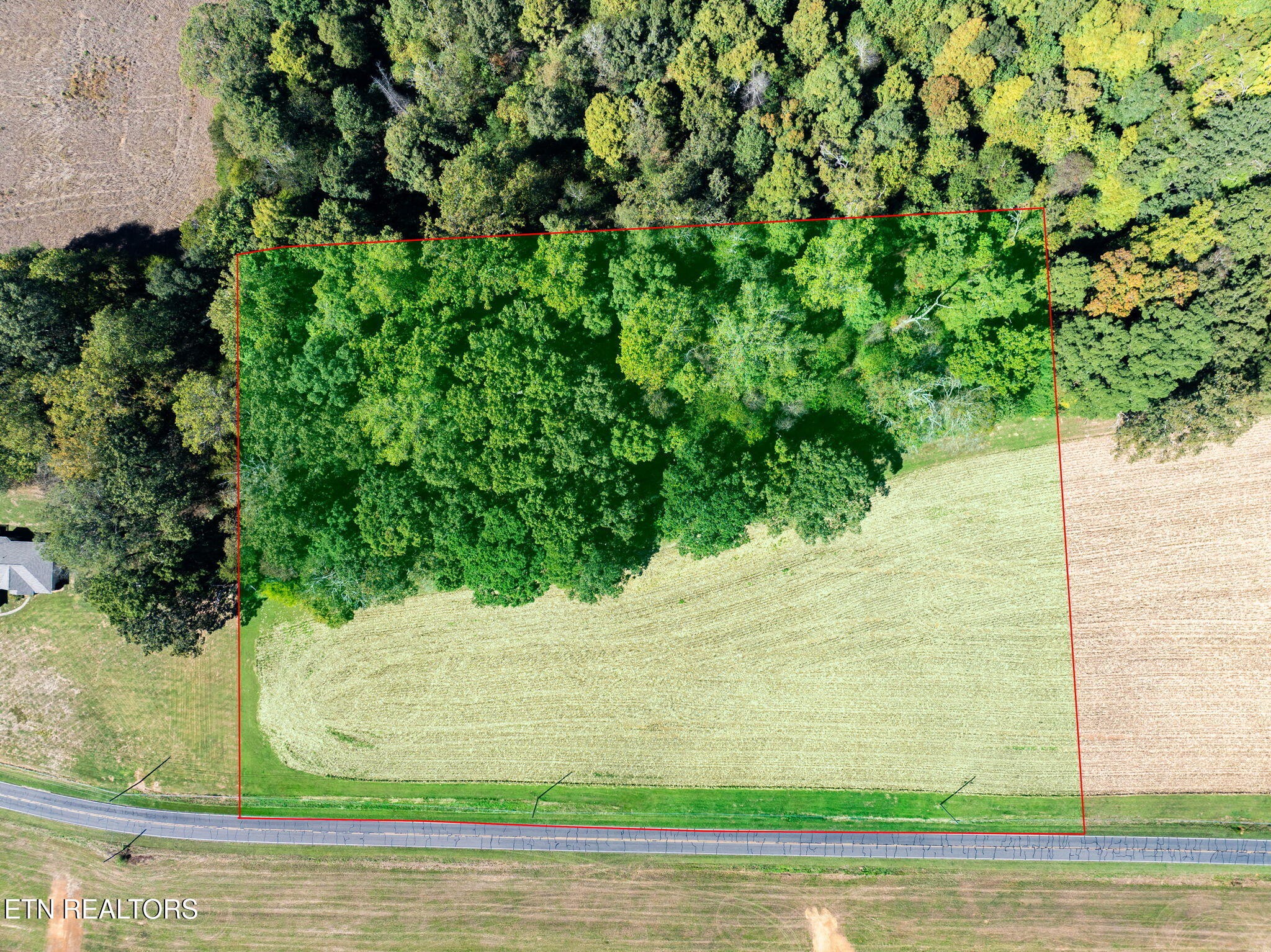 0 County Road 609 Property Photo 11