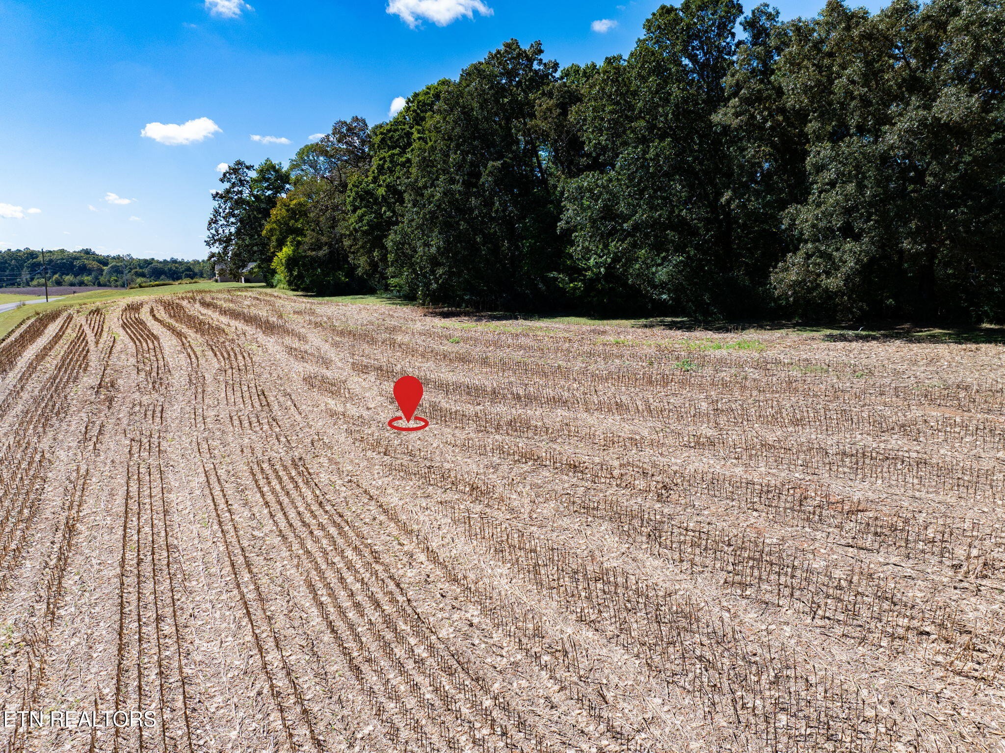 0 County Road 609 Property Photo 13