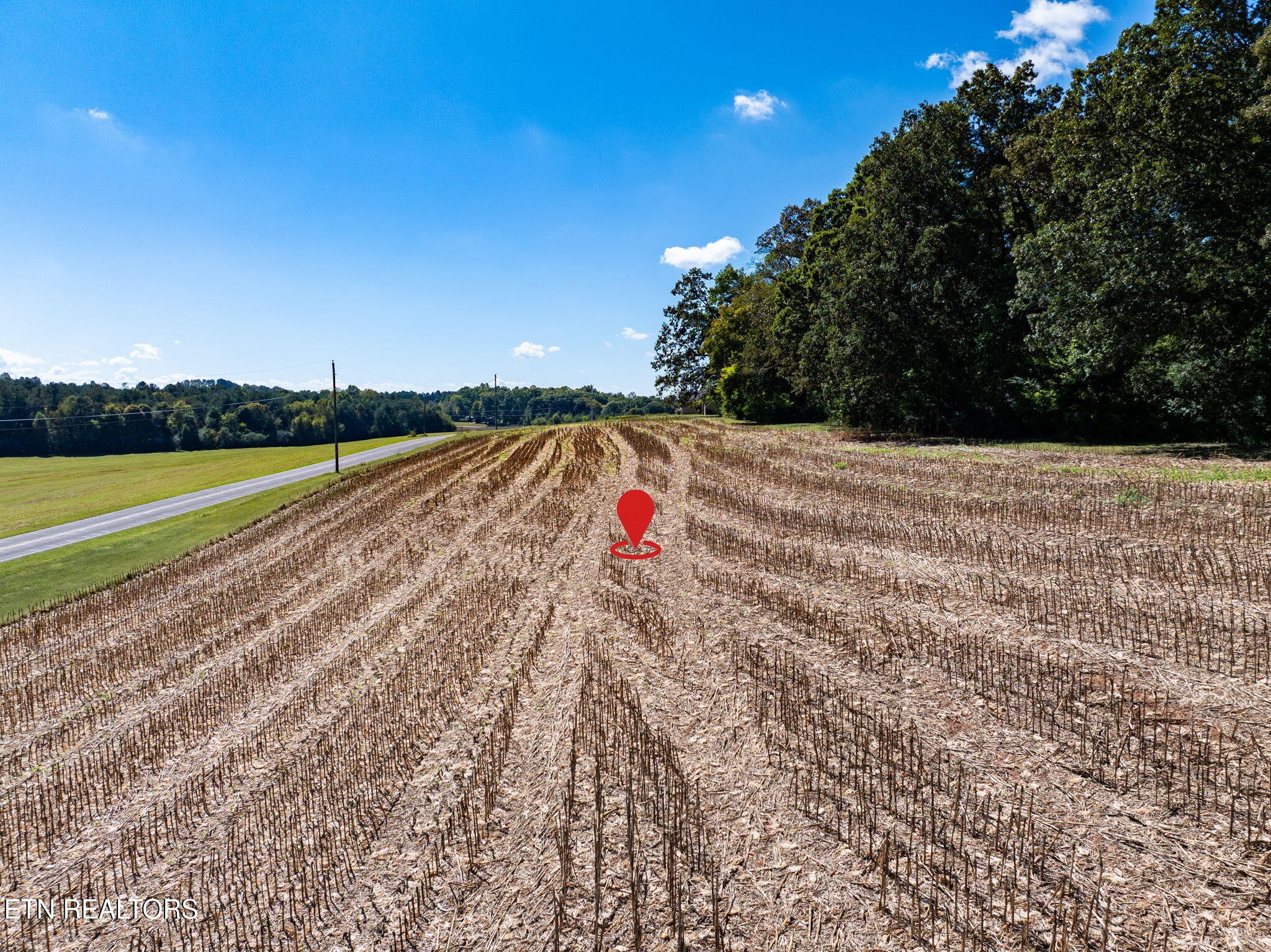 0 County Road 609 Property Photo 14