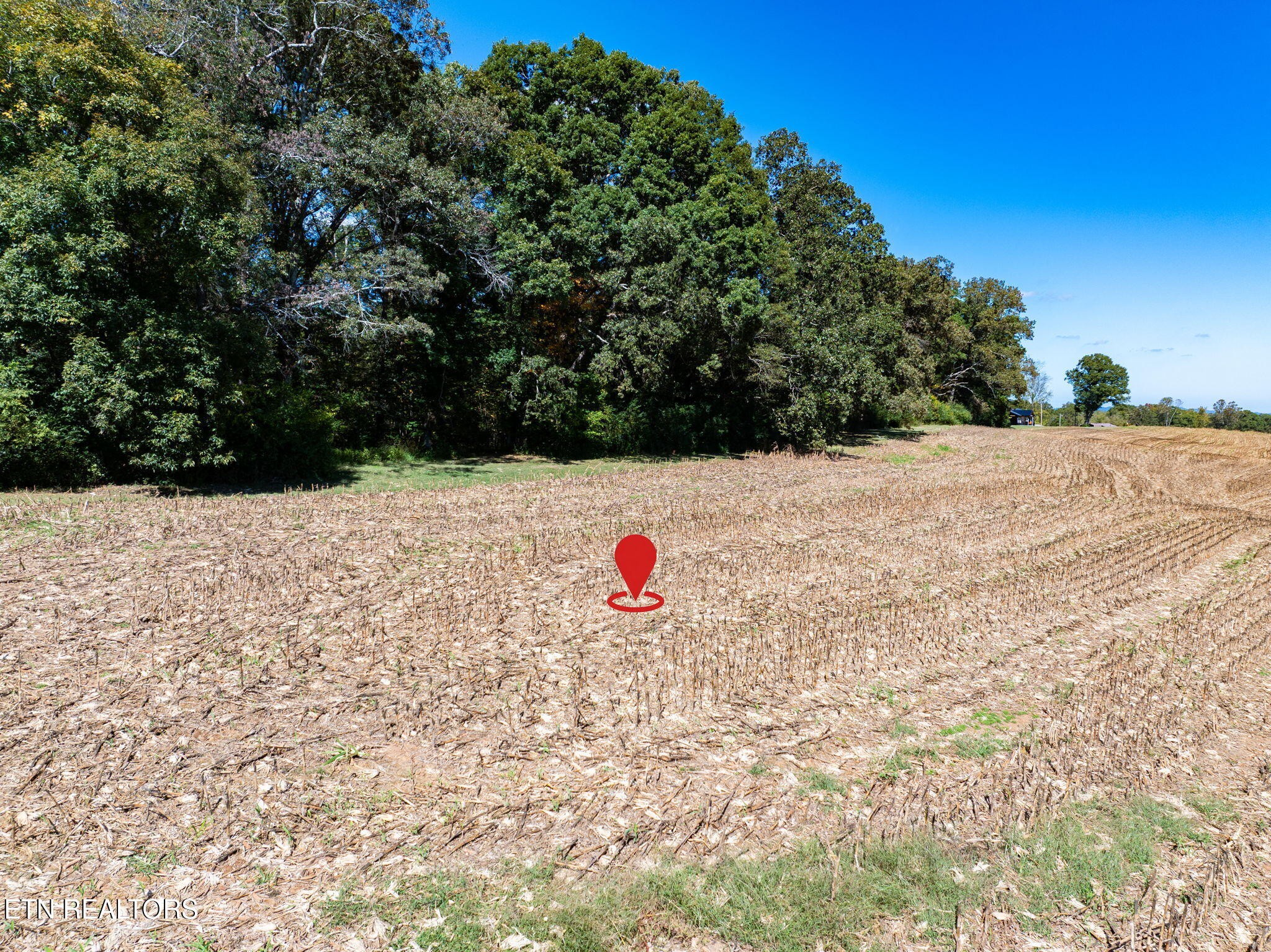 0 County Road 609 Property Photo 15