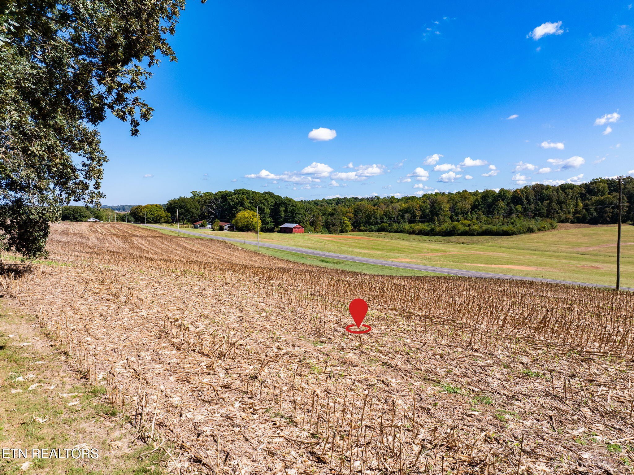 0 County Road 609 Property Photo 16