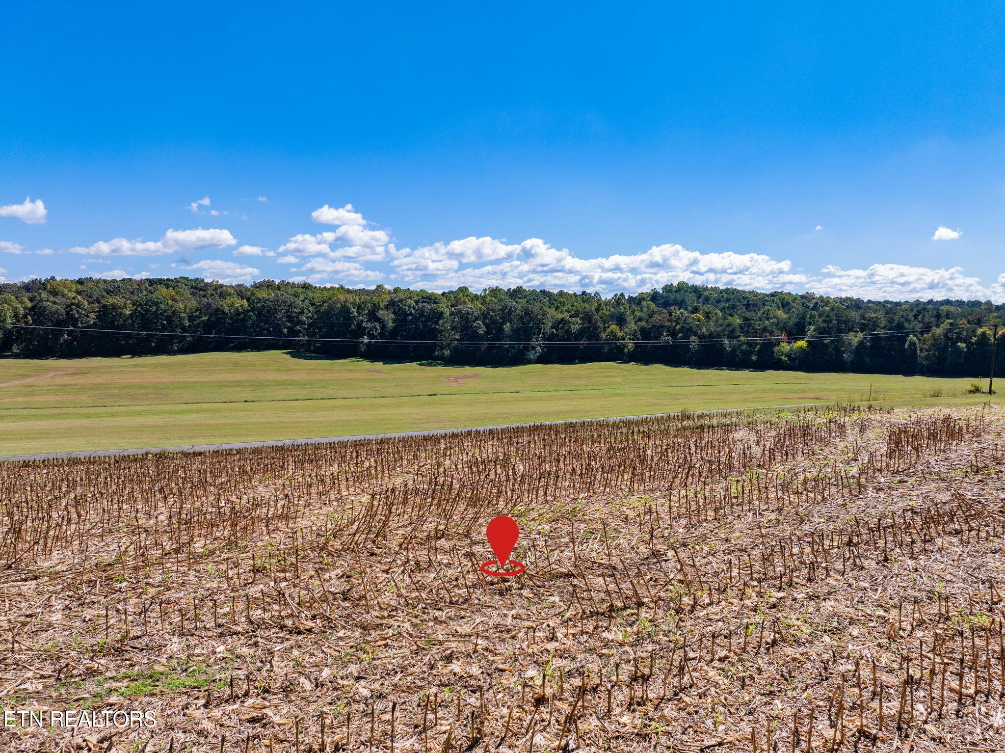 0 County Road 609 Property Photo 17