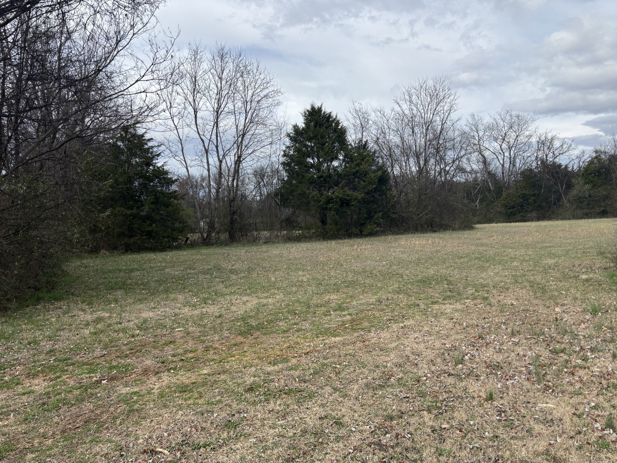111 Eatherly Dr Property Photo 3