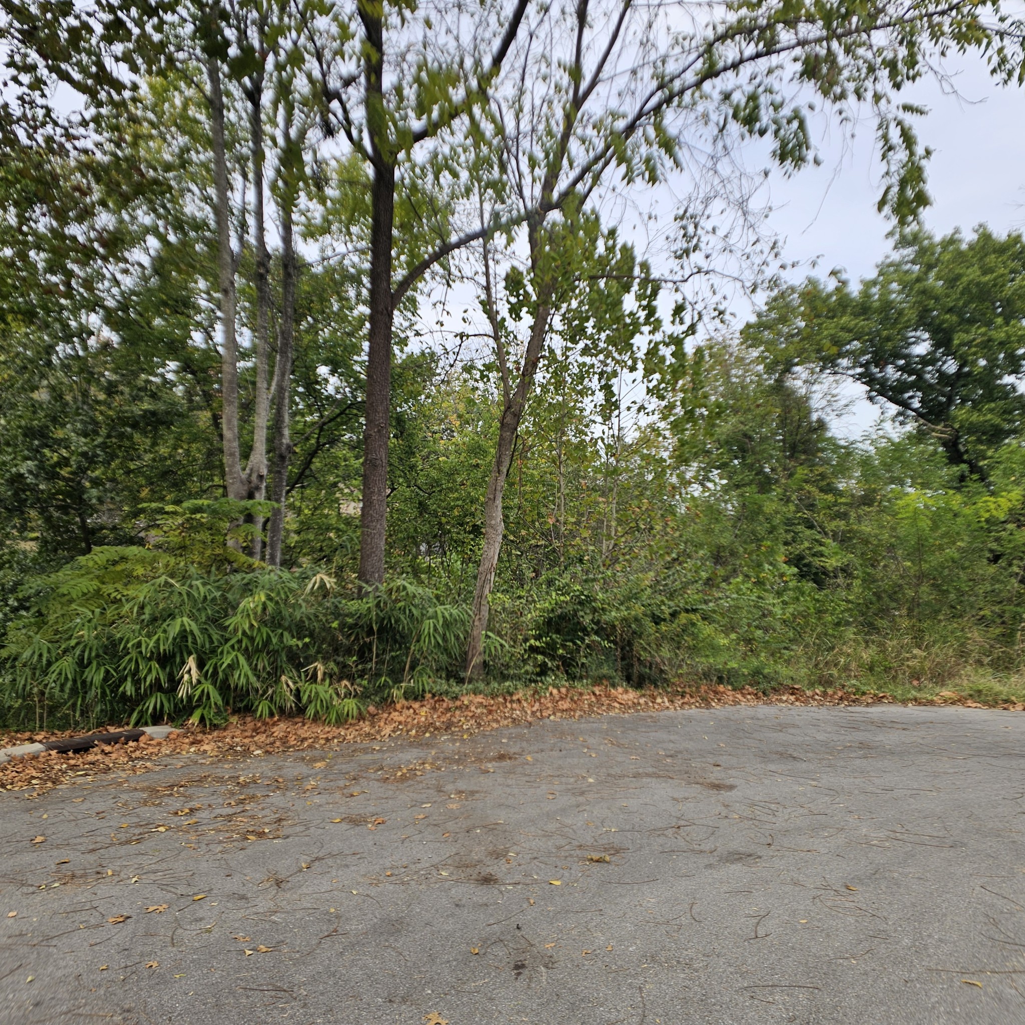 504 Finsbury Ct Property Photo 1