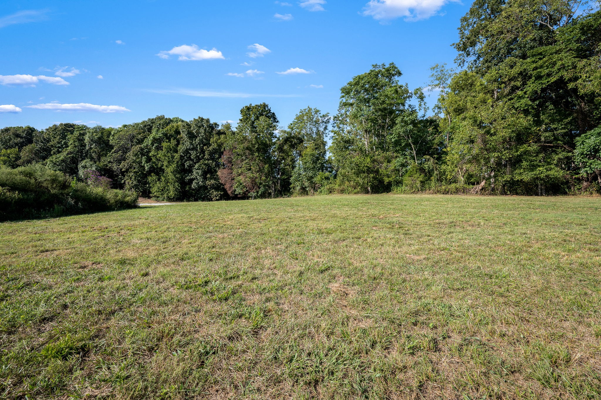 0 Pleasant Hill Rd Property Photo 15