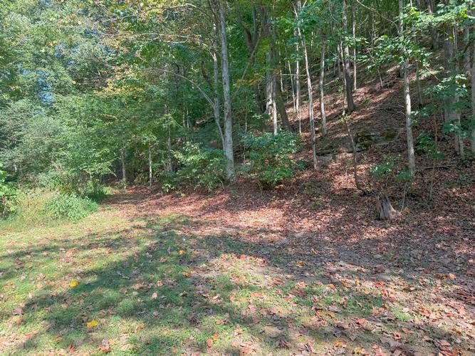 150 Slaters Creek Ln Property Photo 18