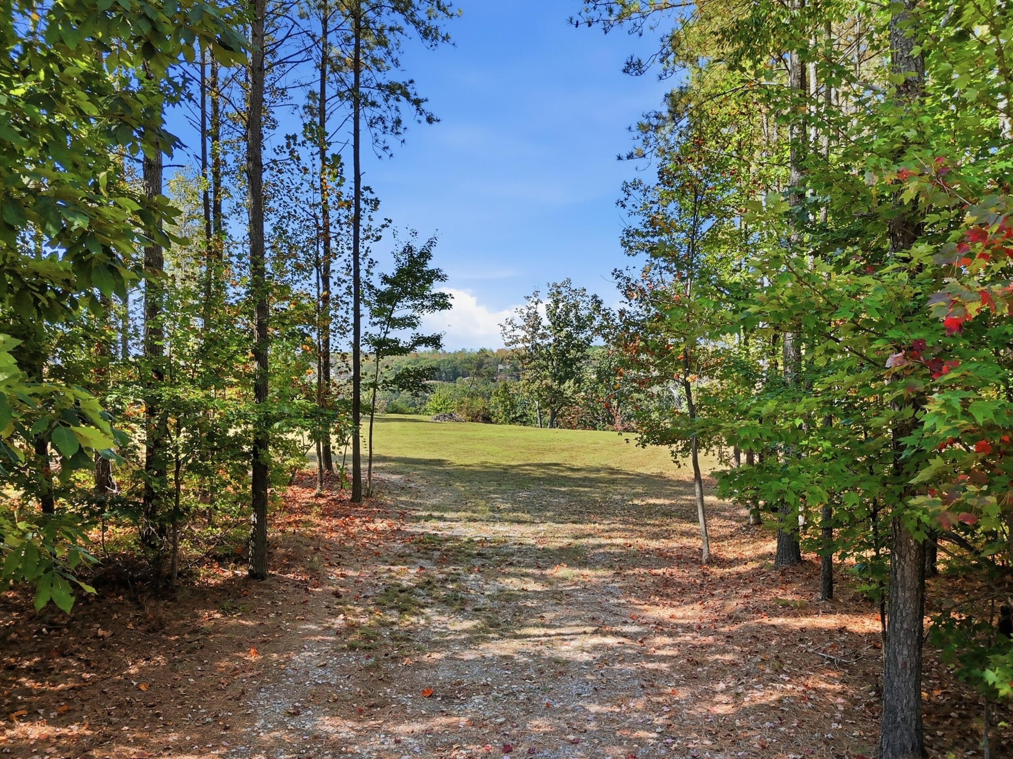 235 Pine Knot Pass Property Photo 4