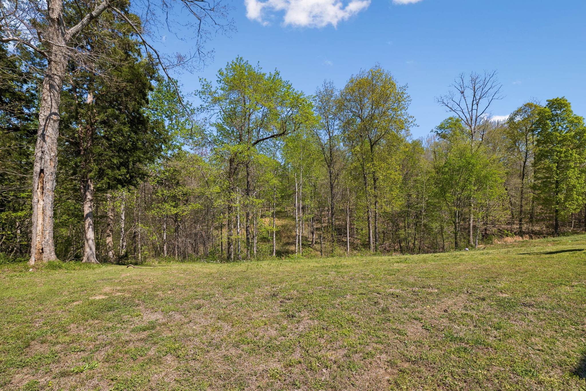 3084 Bowker Rd Property Photo 40