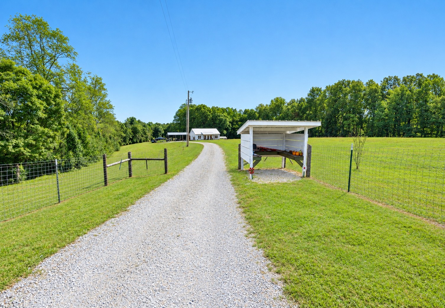 4331 Tanyard Hill Rd Property Photo 24
