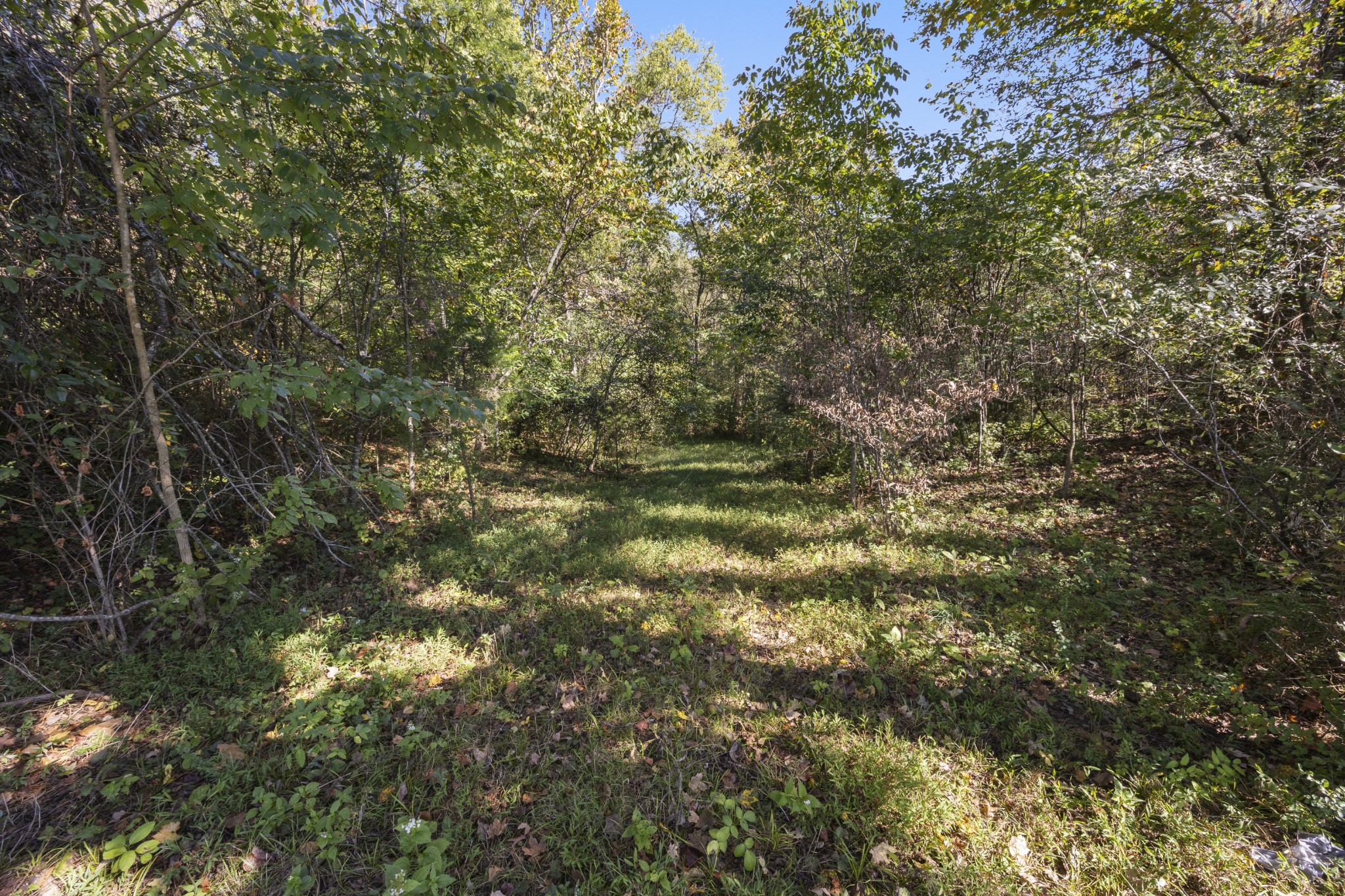 4331 Tanyard Hill Rd Property Photo 28