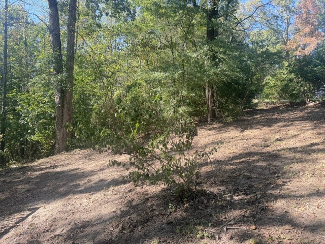 140 Redneck Rd Property Photo 13