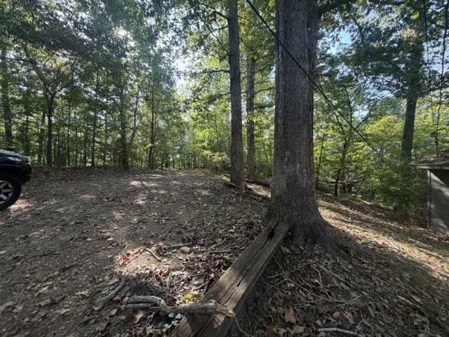 140 Redneck Rd Property Photo 15