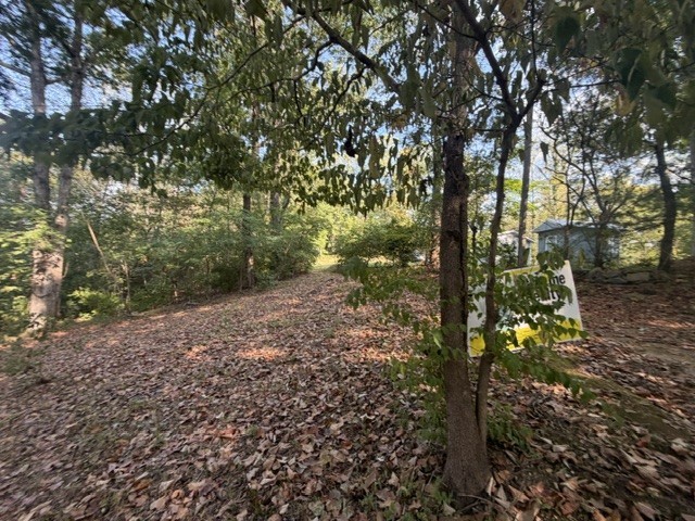 140 Redneck Rd Property Photo 17