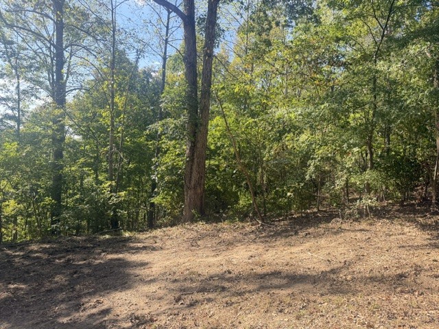 140 Redneck Rd Property Photo 18