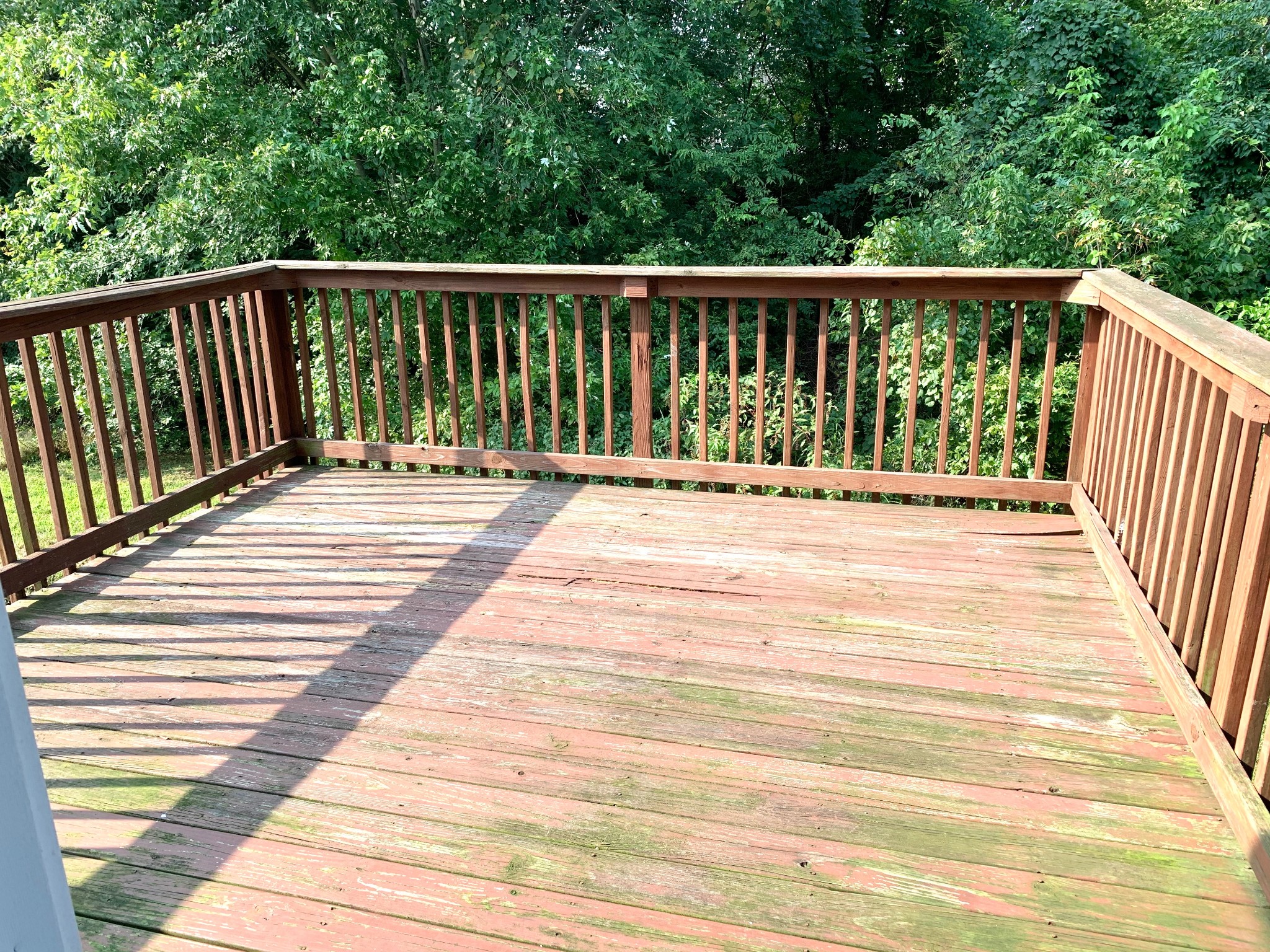 245 Senator Dr Property Photo 15