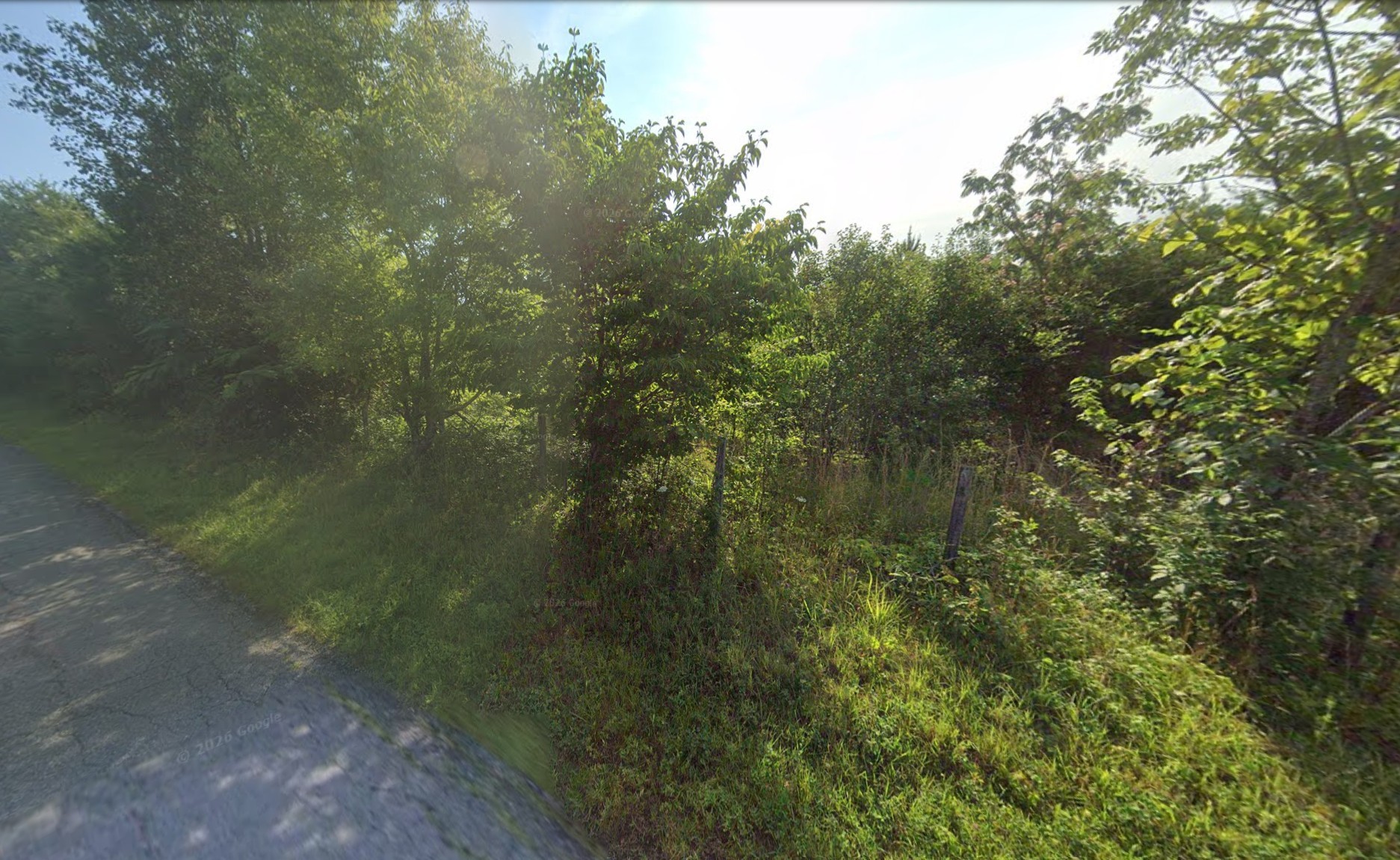 855 Bill Jones Rd Property Photo 2