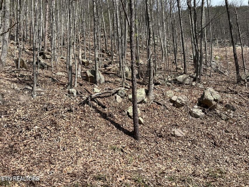 0 Clingmans View Property Photo 2