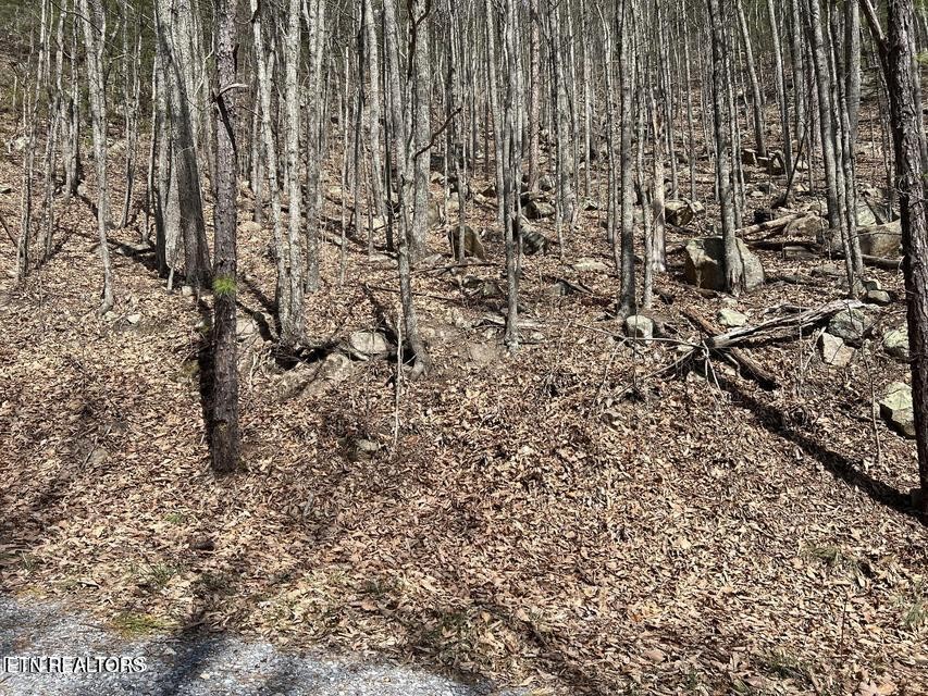 0 Clingmans View Property Photo 3