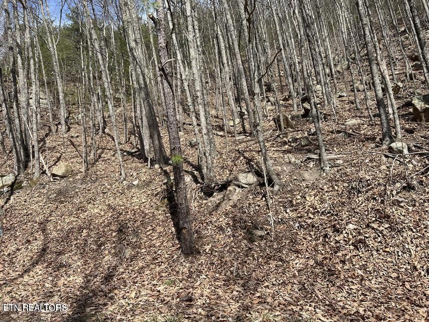 0 Clingmans View Property Photo 4