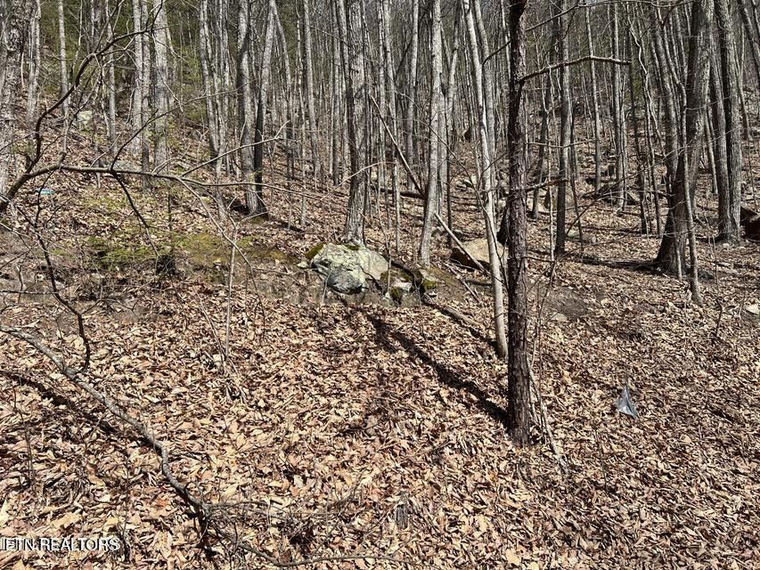 0 Clingmans View Property Photo 5
