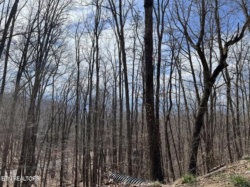 0 Clingmans View Property Photo 6