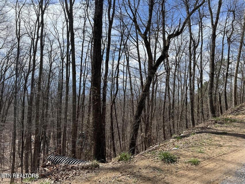 0 Clingmans View Property Photo 7