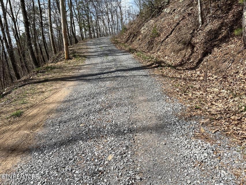 0 Clingmans View Property Photo 8