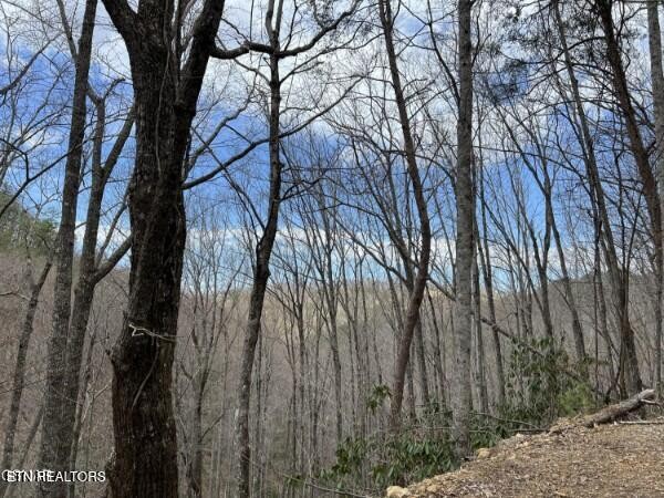 0 John Sevier Drive Property Photo 1