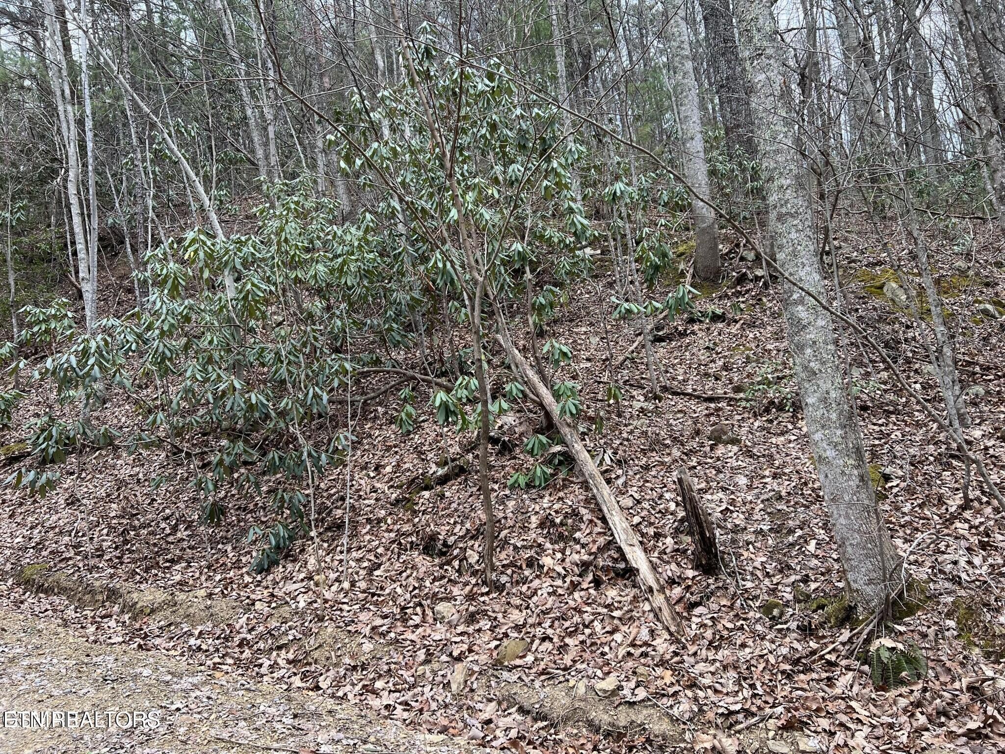 0 John Sevier Drive Property Photo 2