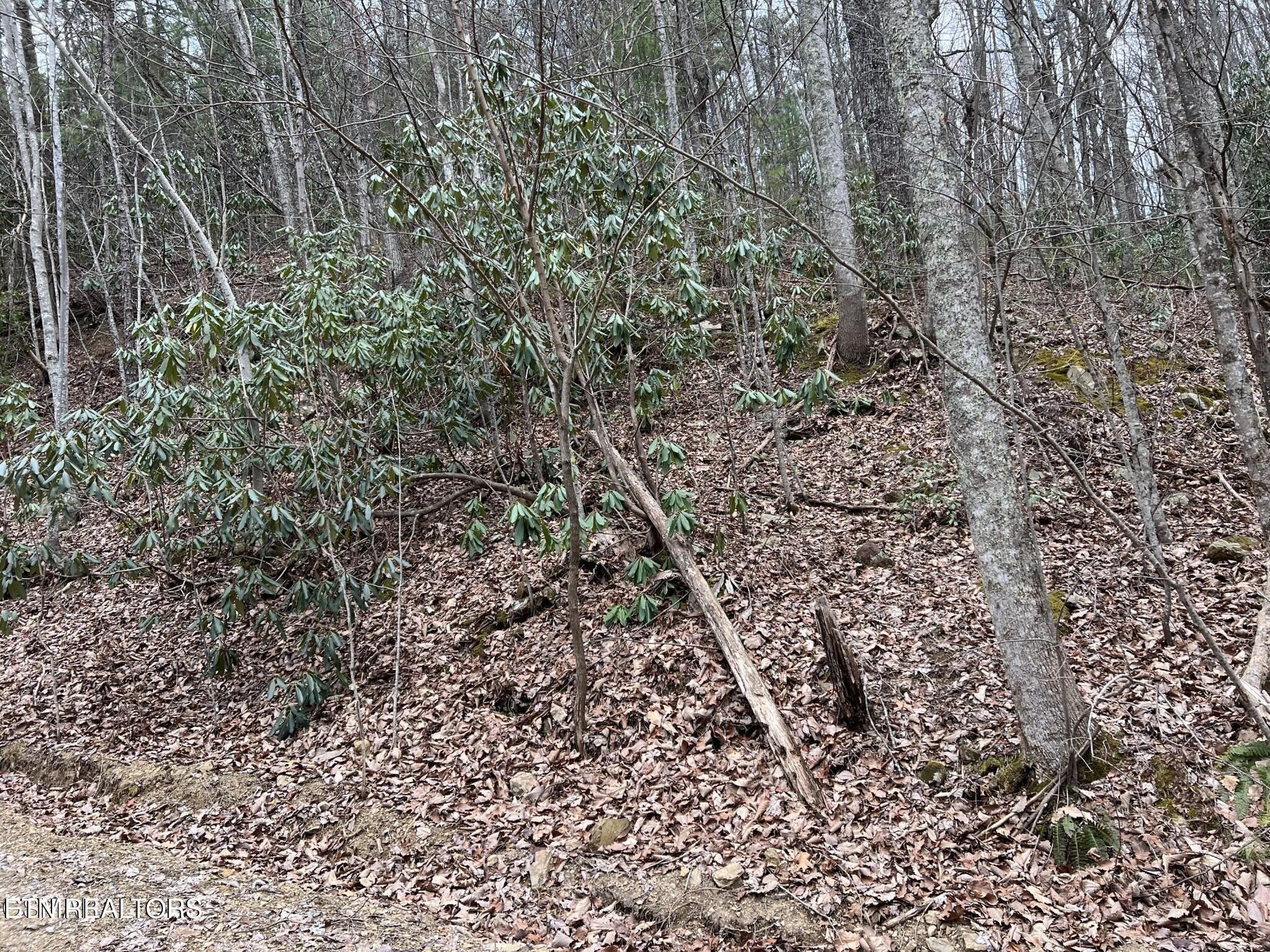 0 John Sevier Drive Property Photo 3