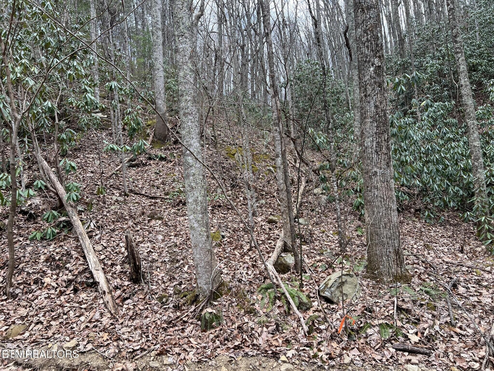 0 John Sevier Drive Property Photo 2