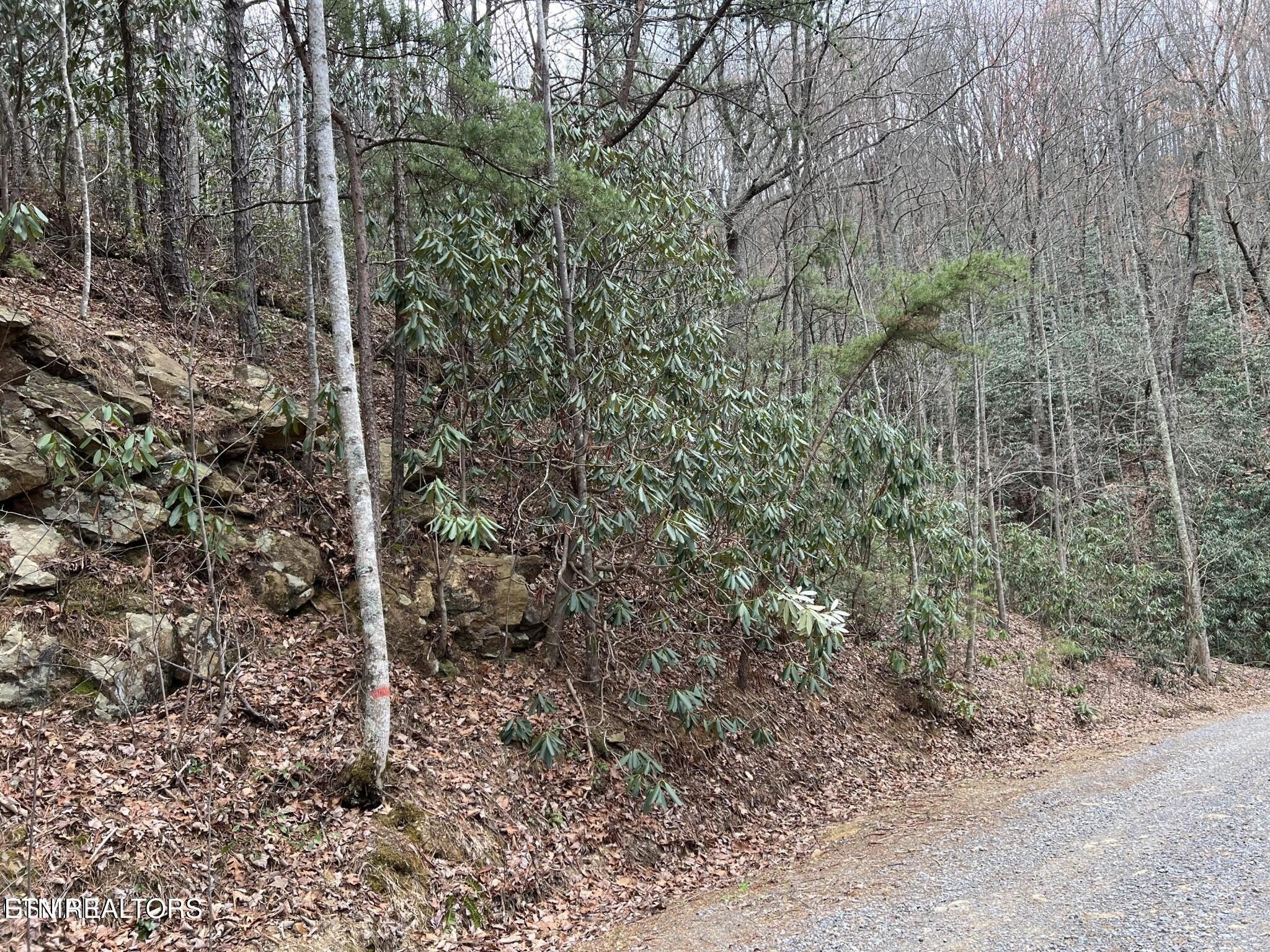 0 John Sevier Drive Property Photo 4