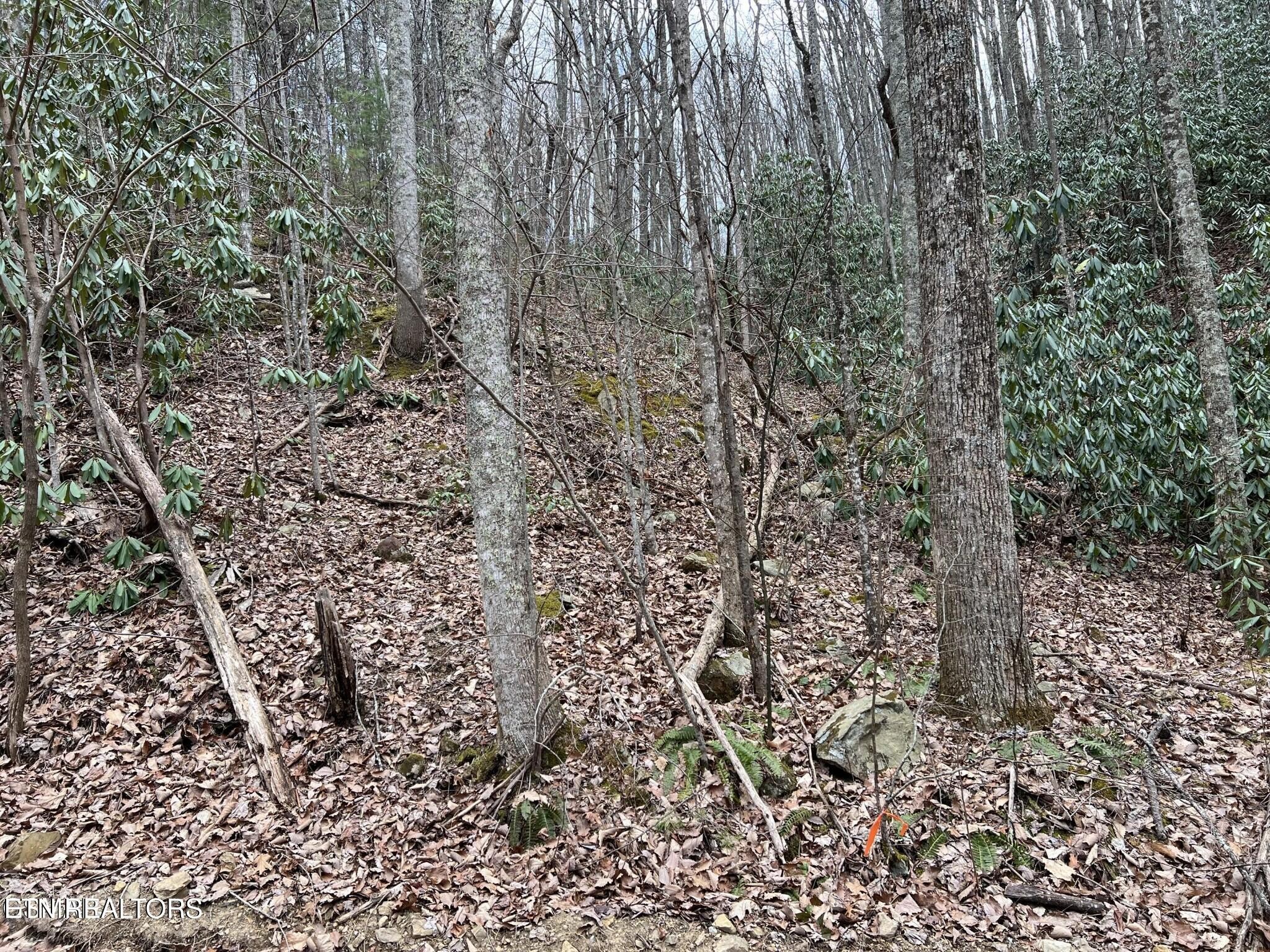 0 John Sevier Drive Property Photo 7